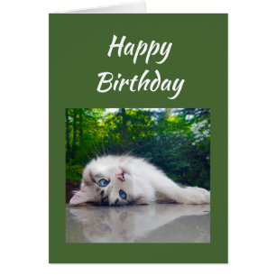 Happy Birthday Funny Cat Persective Humor