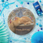 Happy Birthday Funny Chickens Papieren Bordje (Feest)