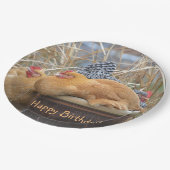 Happy Birthday Funny Chickens Papieren Bordje (Gekanteld)