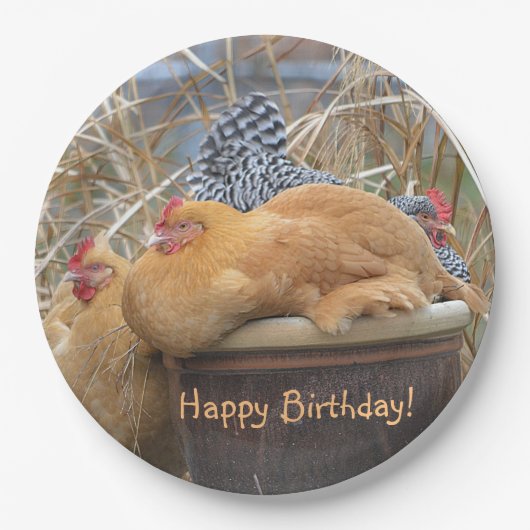 Happy Birthday Funny Chickens Papieren Bordje (Voorkant)