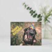 Happy Birthday Funny Dog in Party Pet Briefkaart (Staand voorkant)