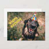 Happy Birthday Funny Dog in Party Pet Briefkaart (Voorkant / Achterkant)