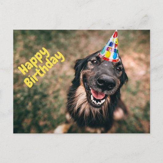 Happy Birthday Funny Dog in Party Pet Briefkaart (Voorkant)