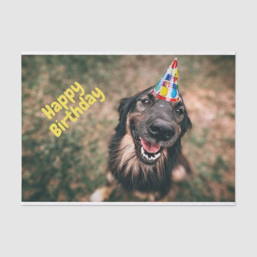 Happy Birthday Funny Dog in Party Pet Tissuepapier (Voorkant)