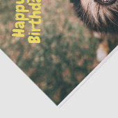 Happy Birthday Funny Dog in Party Pet Tissuepapier (Detail)