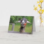 Happy Birthday Funny Goat Kaart (Gele Bloem)