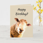 Happy Birthday Funny Sheep Animal Humor Kaart (Gele Bloem)