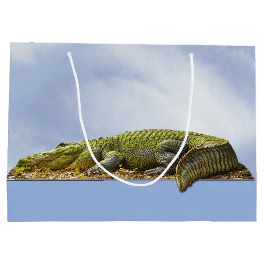 Happy Birthday Gator Panoramic Uitzicht OOOOB Foto Groot Cadeauzakje (Achterkant)