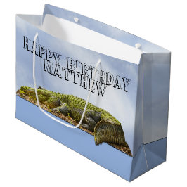 Happy Birthday Gator Panoramic Uitzicht OOOOB Foto Groot Cadeauzakje