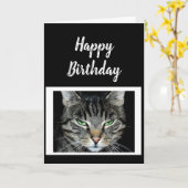 Happy Birthday geloof niet dat het een betere Humo Kaart (Gele Bloem)