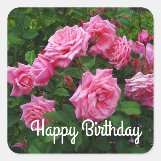 Happy Birthday Gene Boerner Roos #2 Stickers (Voorkant)