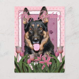 Happy Birthday - German Shepherd - Kuno Briefkaart
