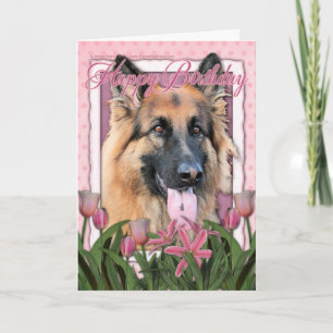 Happy Birthday - German Shepherd - Long Haire Kaart
