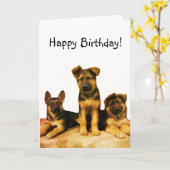 Happy Birthday German Shepherd puppies card Kaart (Gele Bloem)