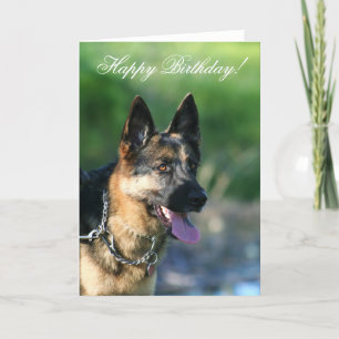 Happy Birthday German Shepherd wenskaart Kaart