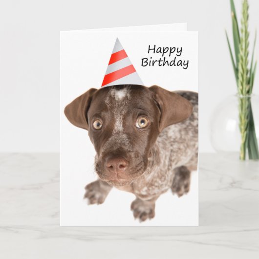 Happy Birthday German Shorthaired Pointer Puppy Feestdagen Kaart (Voorkant)