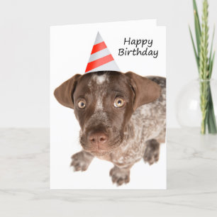 Happy Birthday German Shorthaired Pointer Puppy Feestdagen Kaart