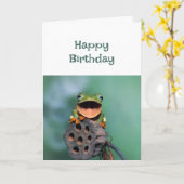 Happy Birthday Geweldige Person Je Ben Fun Frog Kaart (Gele Bloem)