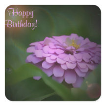 Happy Birthday Ggloed Zinnia Square Sticker