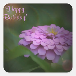Happy Birthday Ggloed Zinnia Square Sticker