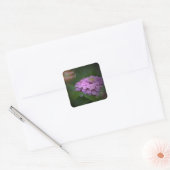 Happy Birthday Ggloed Zinnia Square Sticker (Envelop)