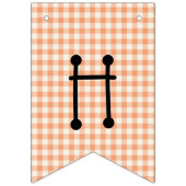 Happy Birthday Gingham Rainbow Bunting Flags Vlaggetjes (Eerste vlag)