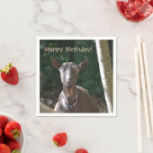 Happy Birthday Goat Servet (Insitu)