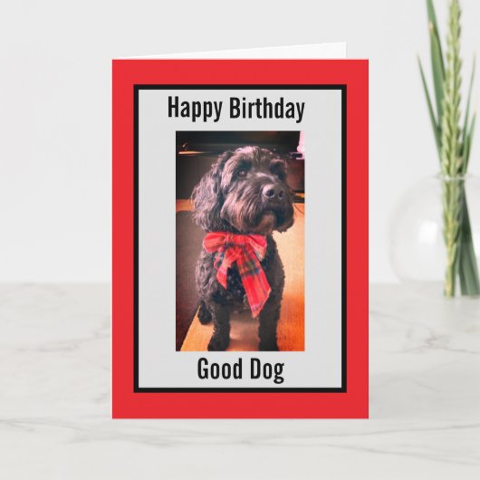 Happy Birthday goede hond kaart (Voorkant)