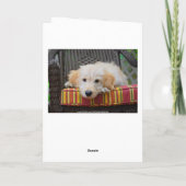 Happy Birthday Golden Doodle Puppy Kaart (Achterkant)