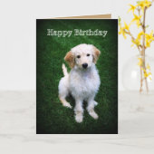 Happy Birthday Golden Doodle Puppy Kaart (Gele Bloem)