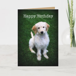Happy Birthday Golden Doodle Puppy Kaart