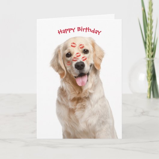 Happy Birthday Golden Retriever Kaart (Voorkant)