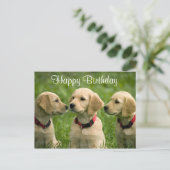 Happy Birthday Golden Retriever Puppies Briefkaart (Staand voorkant)