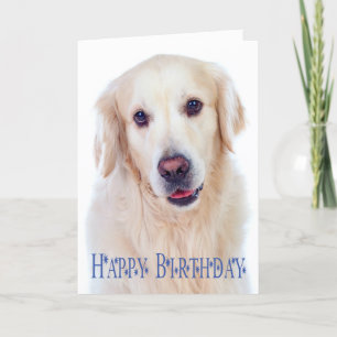 Happy Birthday Golden Retriever Puppy Dog Card Kaart
