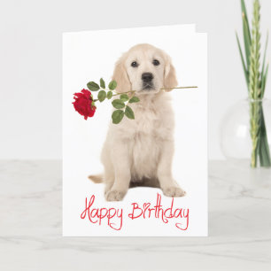 Happy Birthday Golden Retriever Puppy Dog Card Kaart