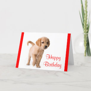 Happy Birthday Golden Retriever Puppy Dog Card Kaart