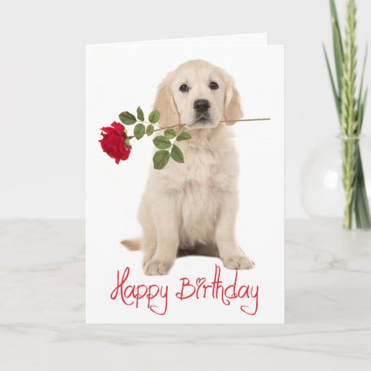 Happy Birthday Golden Retriever Puppy Dog Kaart (Voorkant)