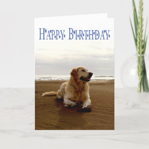Happy Birthday Golden Retriever Puppy Dog Kaart