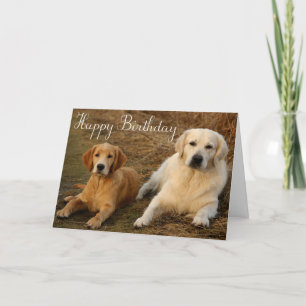 Happy Birthday Golden Retriever Puppy Dog Kaart