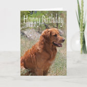 Happy Birthday Golden Retriever Puppy Dog Kaart (Voorkant)
