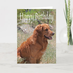 Happy Birthday Golden Retriever Puppy Dog Kaart
