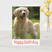 Happy Birthday Golden Retriever Puppy Kaart (Gele Bloem)