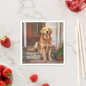 Happy Birthday Golden Retriever Servet (Insitu)