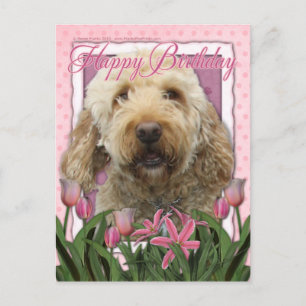 Happy Birthday - Goldendoodle Briefkaart