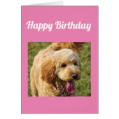 Happy Birthday Goldendoodle Dog Card (Voorkant)
