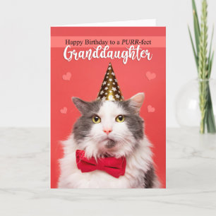 Happy Birthday Granddochter Cute Cat in Pet Feestdagen Kaart