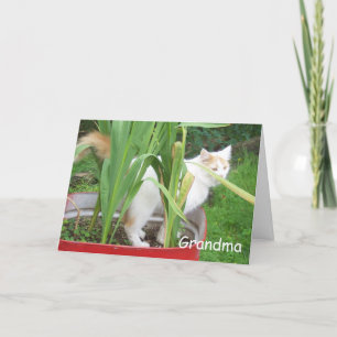 HAPPY BIRTHDAY GRANDMA KAART