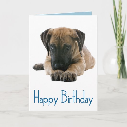 Happy Birthday Great Dane Puppy Dog Card - Verse Kaart (Voorkant)