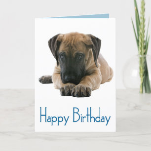 Happy Birthday Great Dane Puppy Dog Card - Verse Kaart