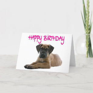 Happy Birthday Great Dane Puppy Dog Card - Verse Kaart